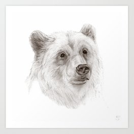 264x264 Brownbear Art Prints - Brown Bear Line Drawing