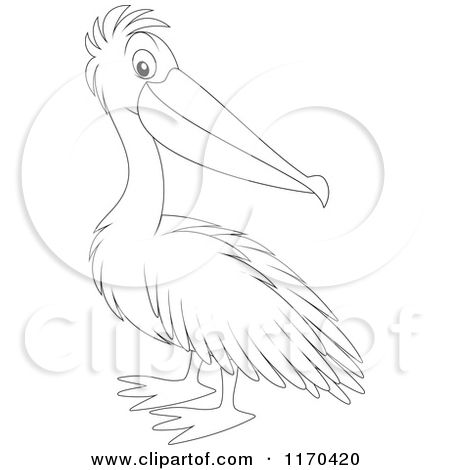 450x470 Brown Pelican Drawing Cute Cartoons - Brown Pelican Drawing