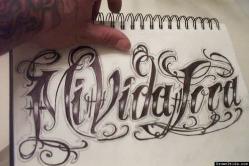 500x333 Photo Gallery - Brown Pride Drawings