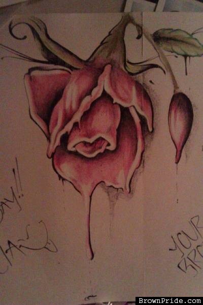 400x600 Art - Brown Pride Drawings