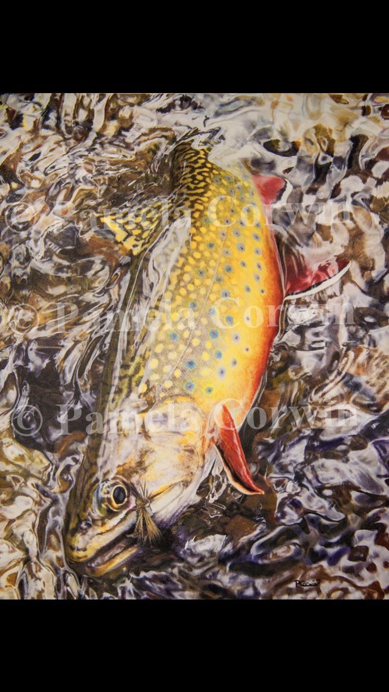 794x1412 brook trout brook trout drawing fly fishing print colored etsy - Brown Trout Drawing