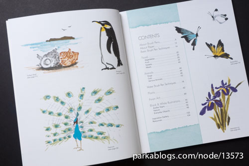 500x333 book review brush pen illustration more than ideas - Brush Pen Drawing