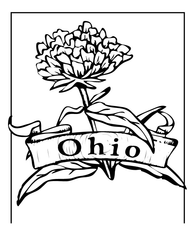680x880 ohio state buckeyes coloring pages - Brutus Buckeye Drawing