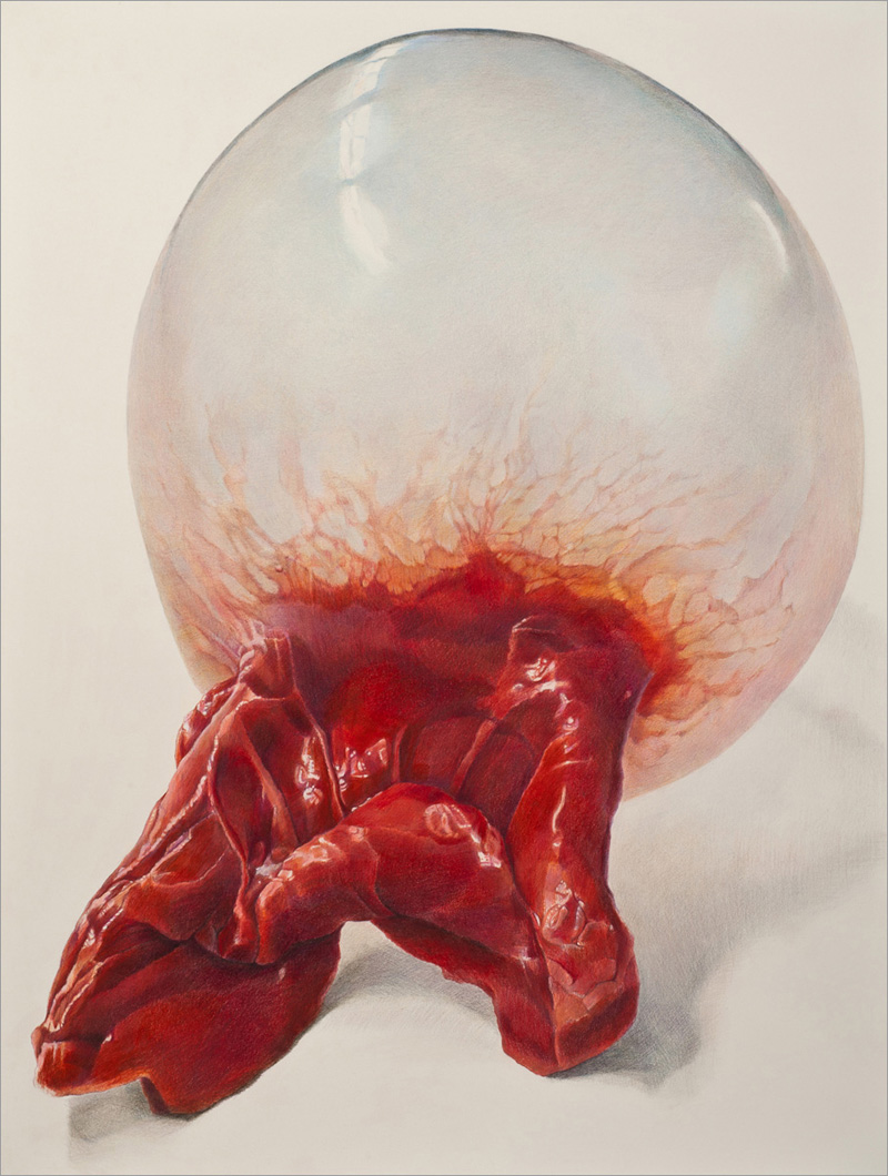 800x1060 beautiful hyper real bubble gum drawings - Bubble Gum Drawing