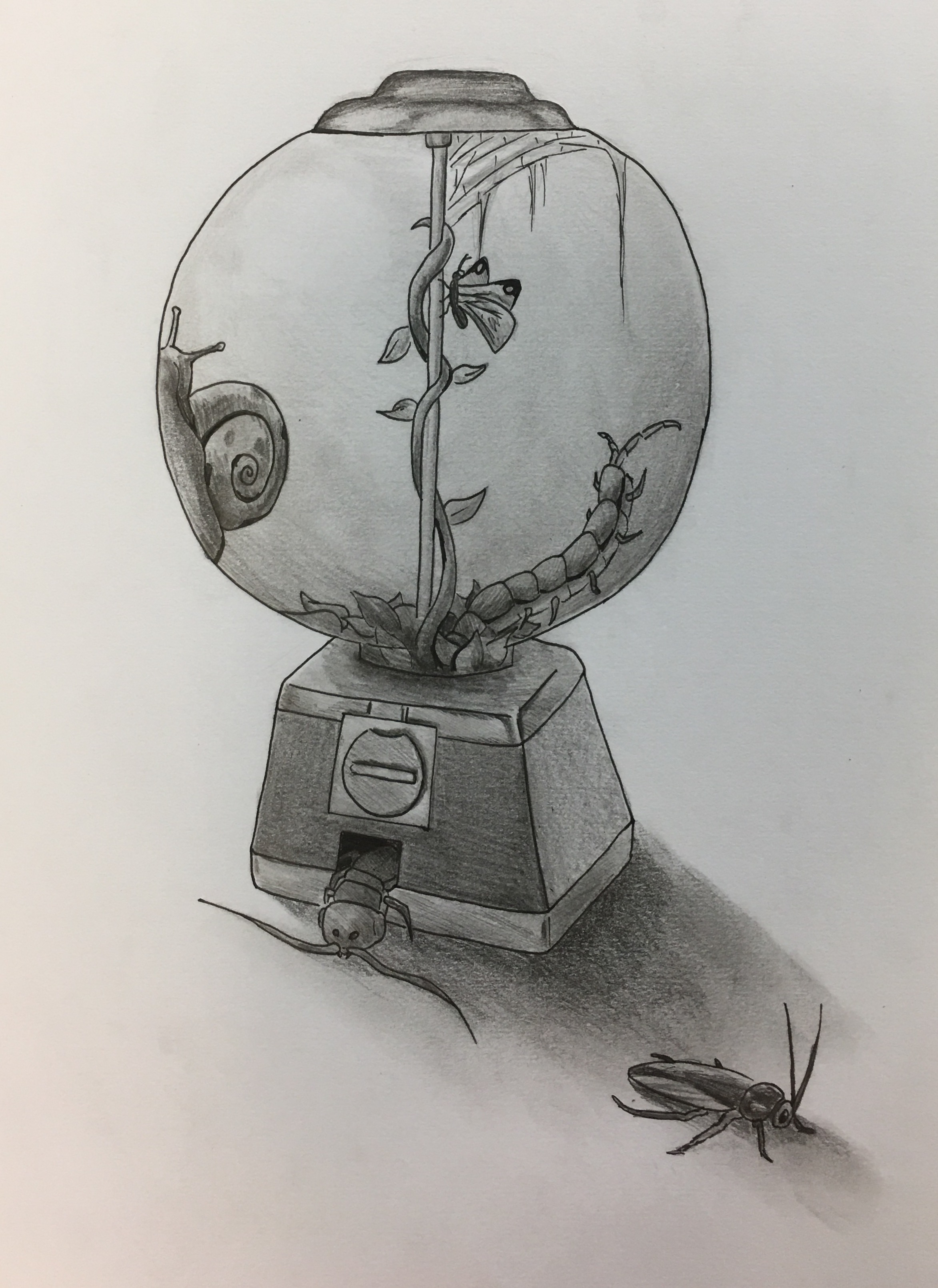 2345x3220 The Gumball Machine - Bubble Gum Machine Drawing