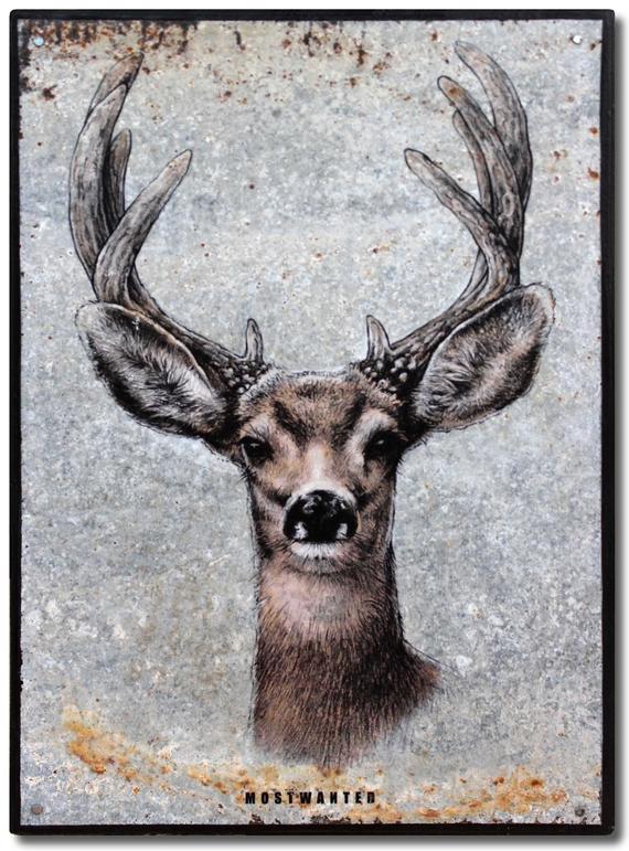570x771 whitetail buck deer head antlers beauty colored pencil etsy - Buck Deer Drawing