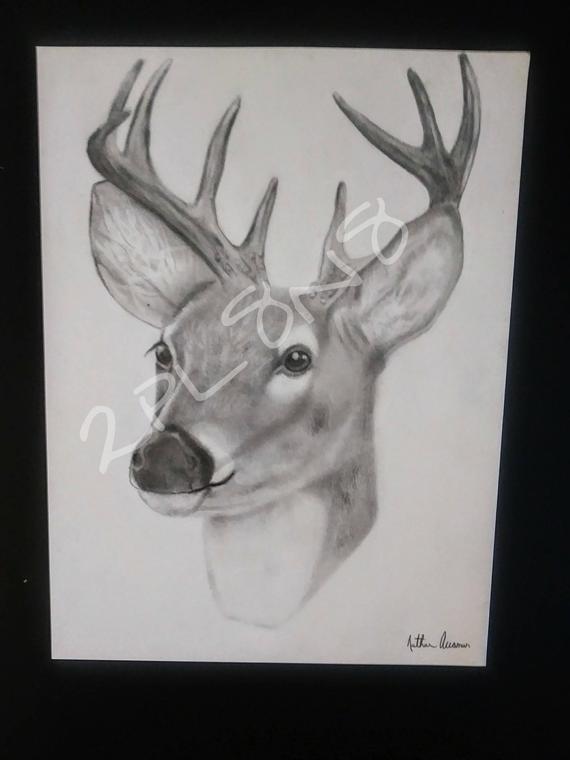 570x760 Deeruck Drawing Print Etsy - Buck Drawing