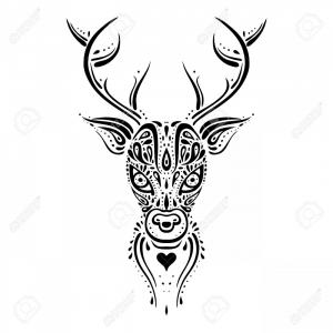 300x300 pictures of deer head drawing best hd whitetail deer head stock - Buck Head Drawing