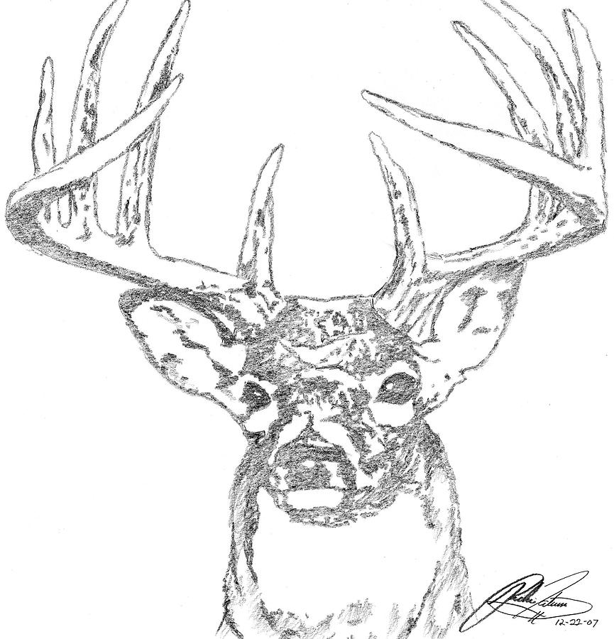 865x900 Buck Sketch Drawing - Buck Line Drawing