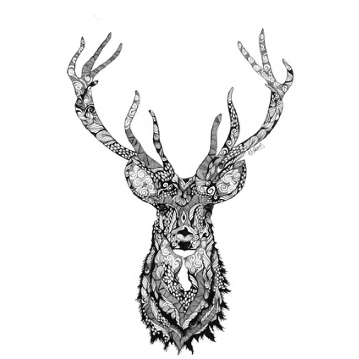 700x700 Collection Of Free Buck Drawing Forest Download On Ui Ex - Buck Line Drawing