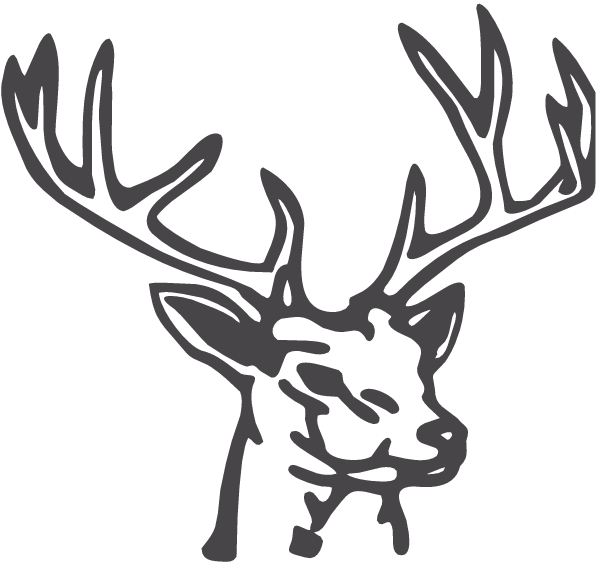 600x563 Collection Of Free Buck Drawing Monster Download On Ui Ex - Buck Line Drawing