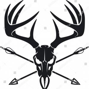 300x300 Deer Skull Illustration Drawing Engraving Ink Line Art Vector - Buck Line Drawing