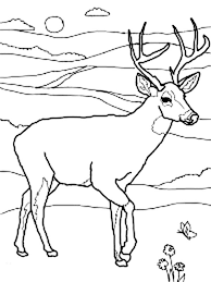 194x259 Image Result For Running Buck Deer Line Drawing Deer - Buck Line Drawing