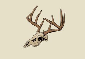 286x200 Deer Skull Free Vector Art - Buck Skull Drawing