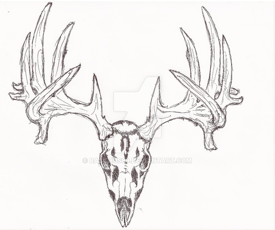 900x755 Skull Drawing Monster For Free Download - Buck Skull Drawing