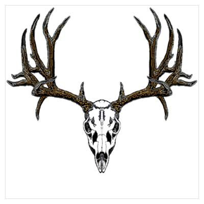 400x400 european mount mule deer my ideas deer antler tattoos, elk - Buck Skull Drawing