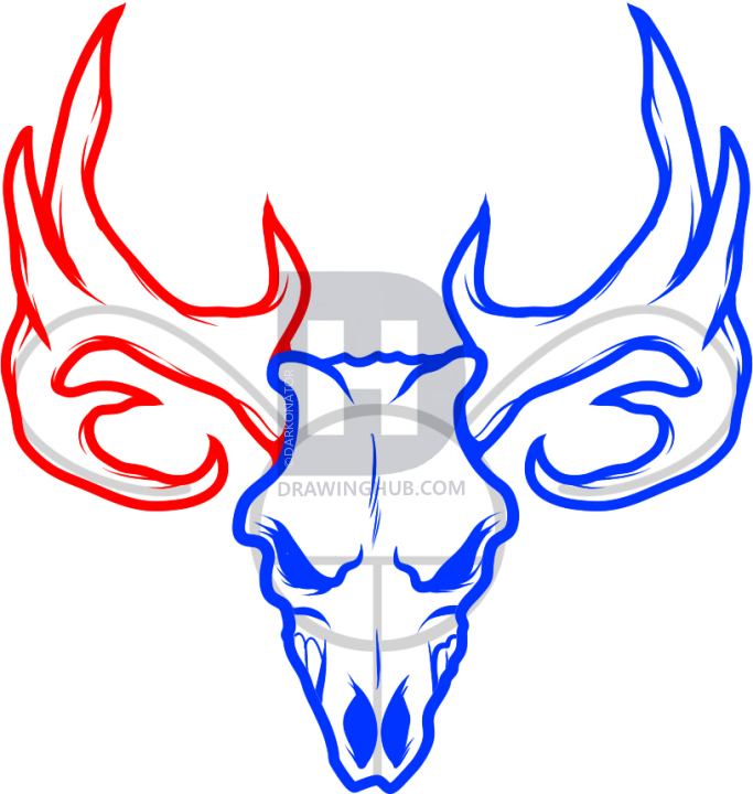 683x720 how to draw a deer skull, deer skull tattoo, step - Buck Skull Drawing