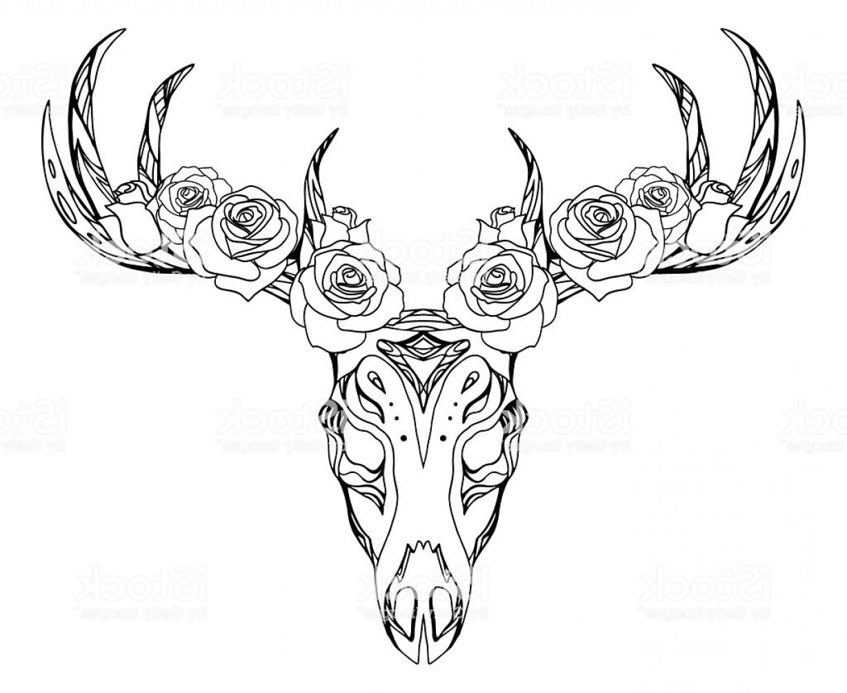 1228x1005 illustration of a deer skull with roses and boho pattern gm soidergi - Buck Skull Drawing