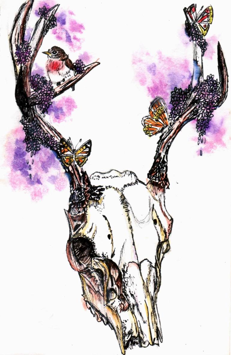 770x1182 Stag Skull Drawing - Buck Skull Drawing