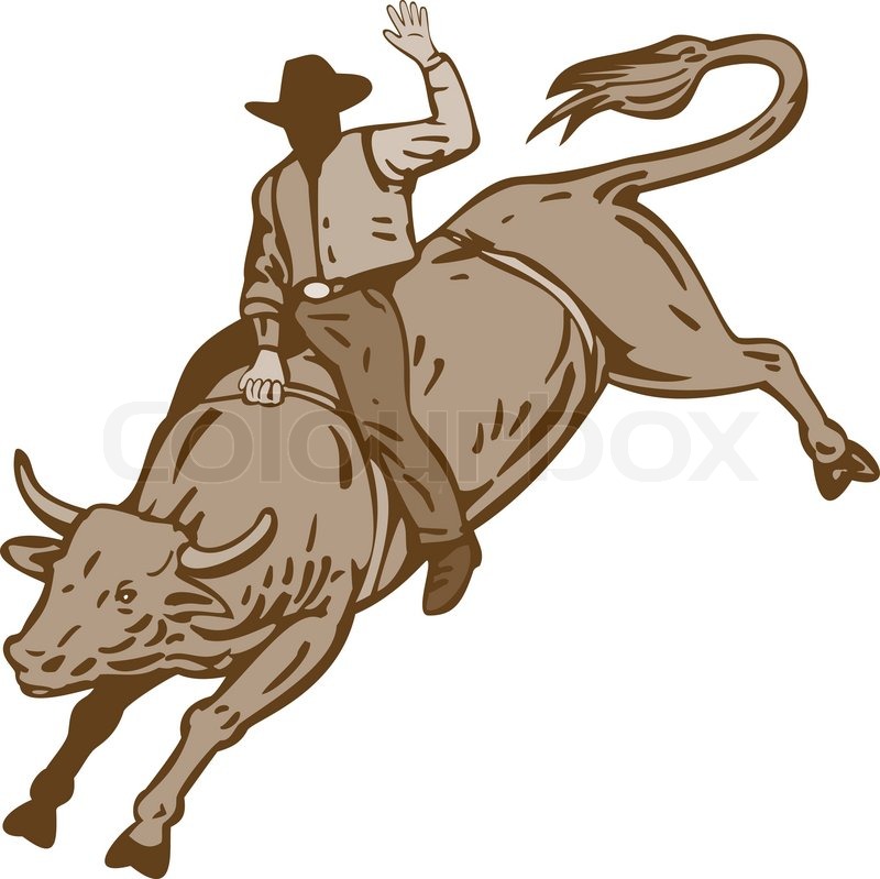 800x799 illustration of rodeo cowboy riding stock vector colourbox - Bucking Bull Drawing
