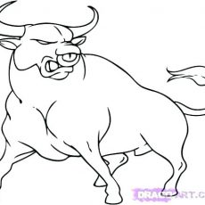 230x230 shining design bucking bull coloring pages bulls cjsp me free - Bucking Bull Drawing