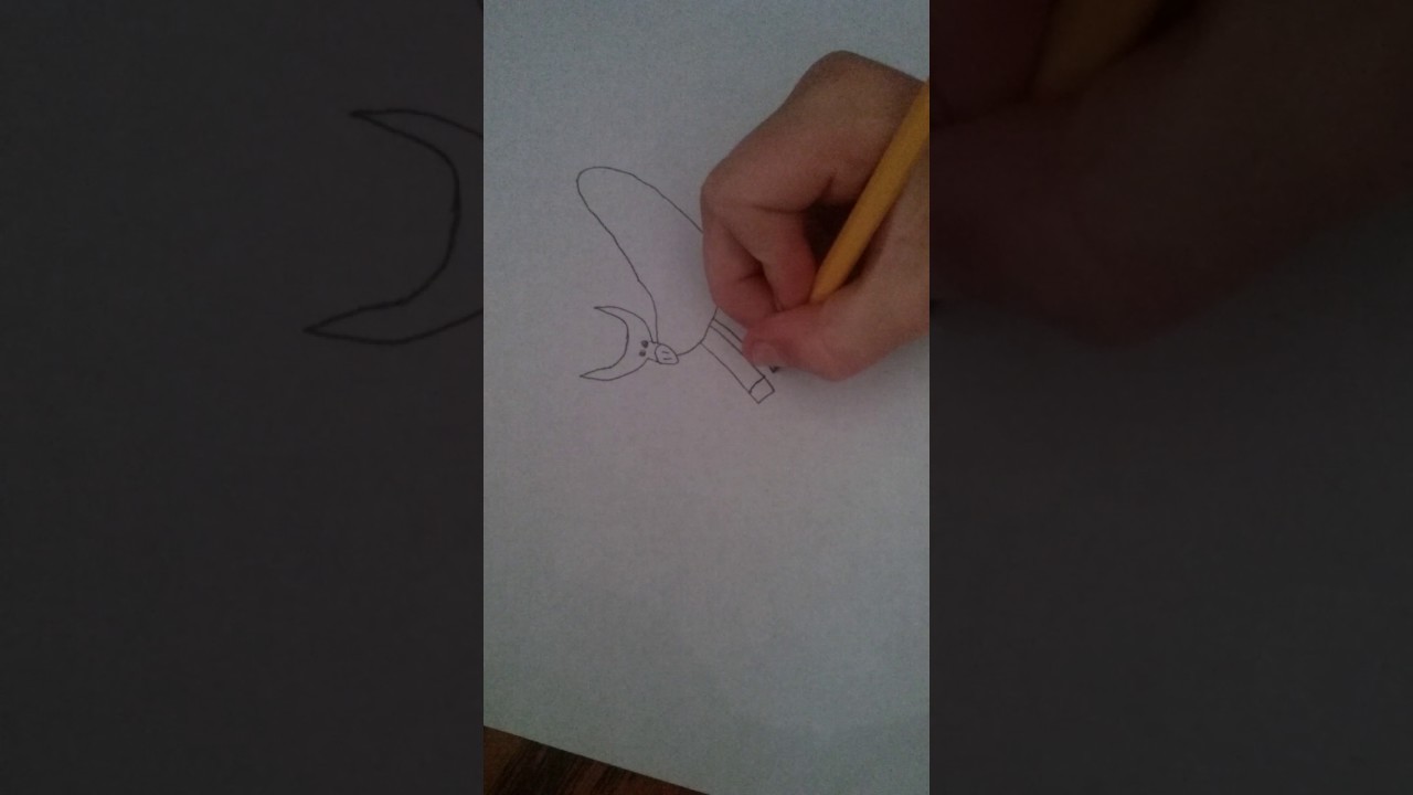 1280x720 How To Draw A Bucking Bull - Bucking Bull Drawing