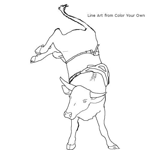 500x500 Bucking Bull Coloring - Bucking Bull Drawing