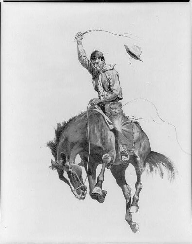 Bucking Horse Drawing