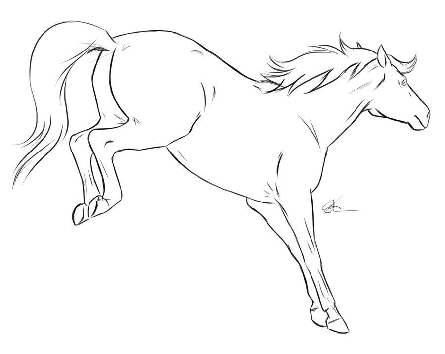 900x715 Bucking Horse Drawings Stop And Take A Look - Bucking Horse Drawing