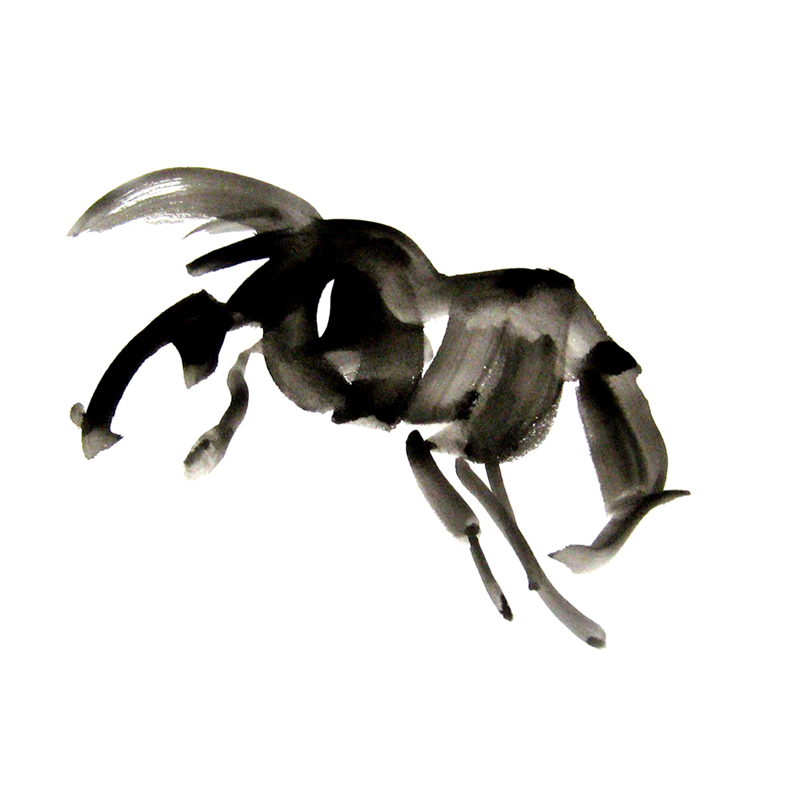 800x800 bucking horse print from an original equestrian drawing - Bucking Horse Drawing