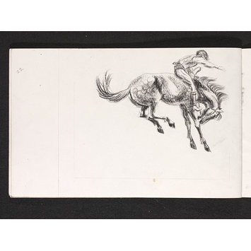 355x355 bucking horse ginger, phyllis e vampa search the collections - Bucking Horse Drawing