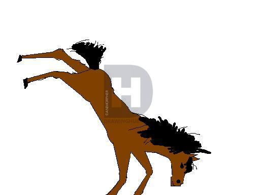 512x384 How To Draw A Bucking Horse, Step - Bucking Horse Drawing
