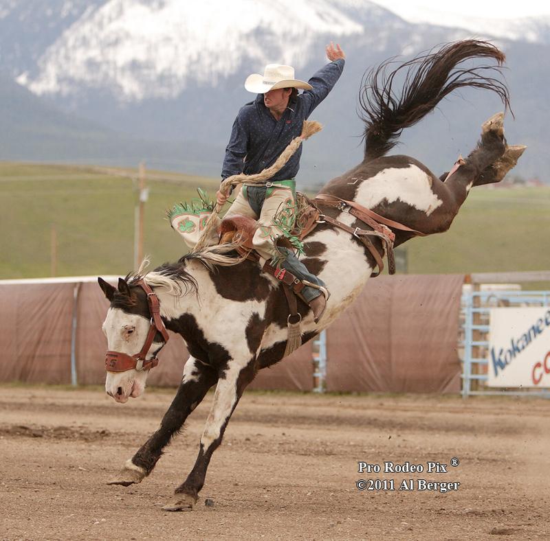 800x788 Simon Bucking Stock Sale - Bucking Horse Drawing
