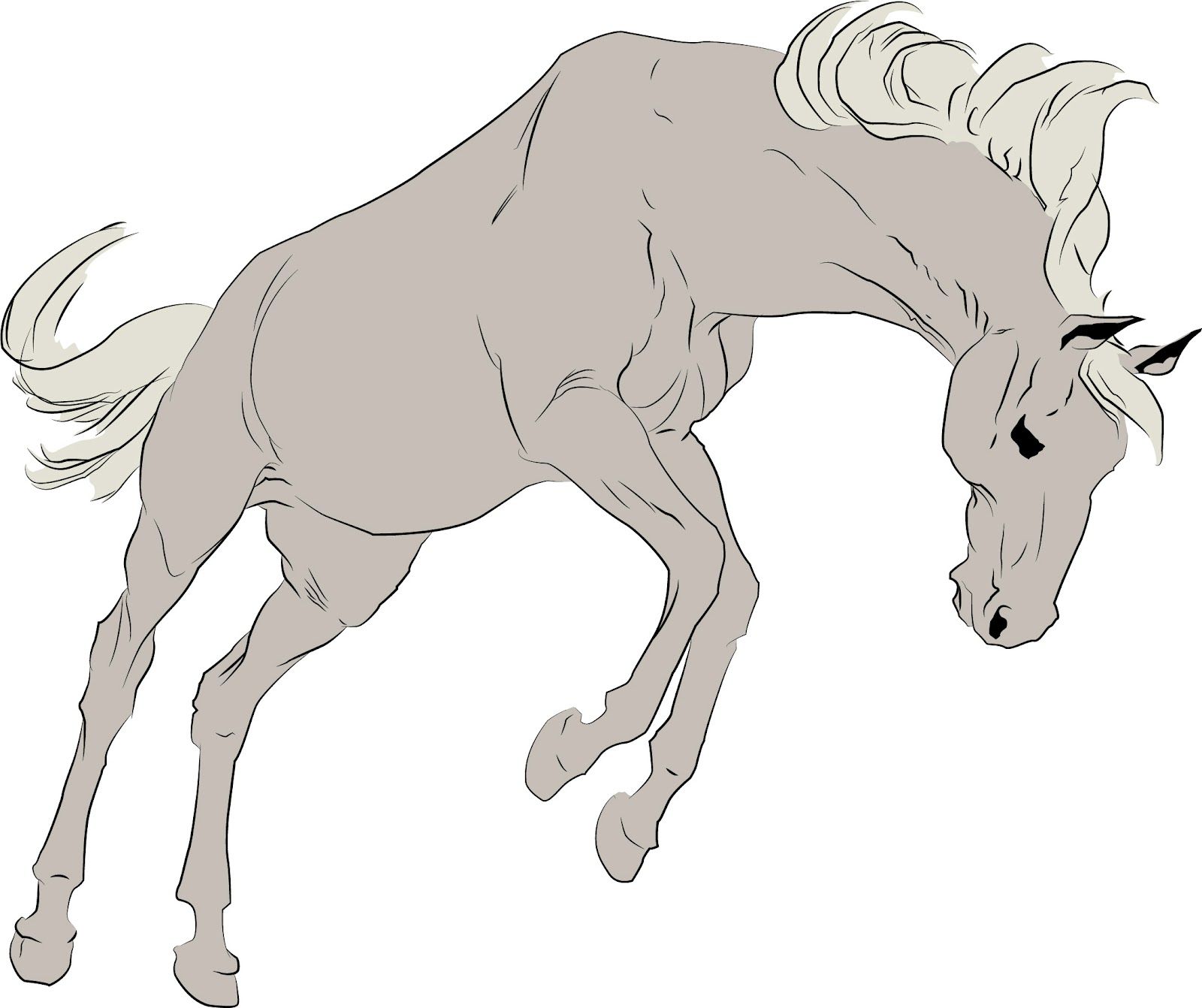 1600x1342 Bucking Horse Animal Reference - Bucking Horse Drawing