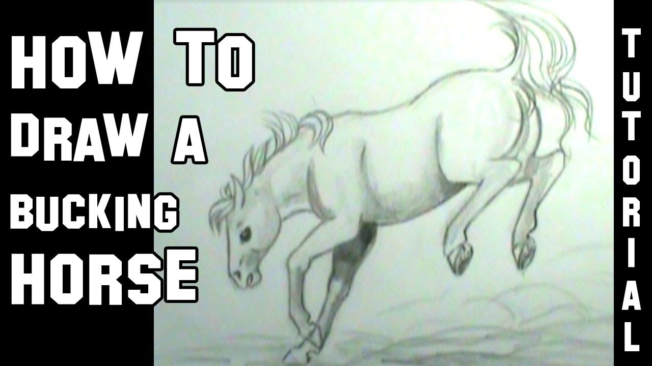 1280x720 How To Draw A Horse Bucking - Bucking Horse Drawing
