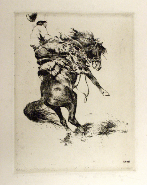 475x600 Untitled - Bucking Horse Drawing