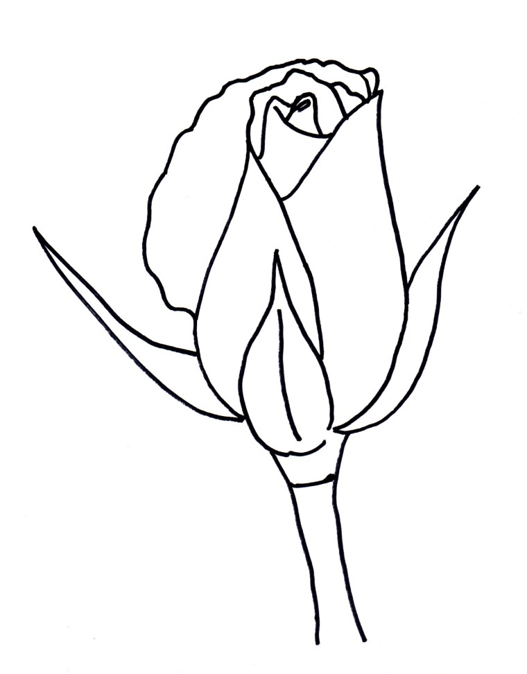 760x972 how to draw a rose bud - Bud Drawing