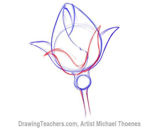 550x447 How To Draw A Rosebud Doodles Drawings, Art Sketches - Bud Drawing
