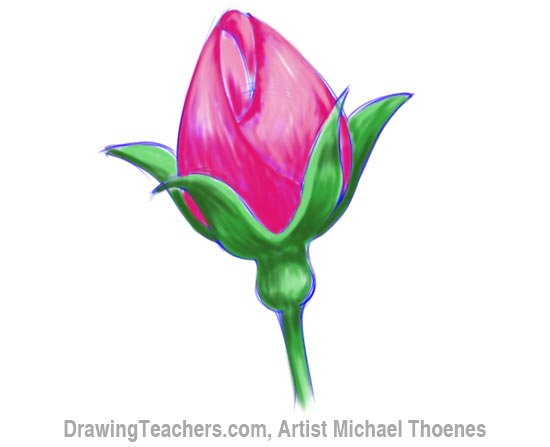 550x447 How To Draw A Rosebud - Bud Drawing