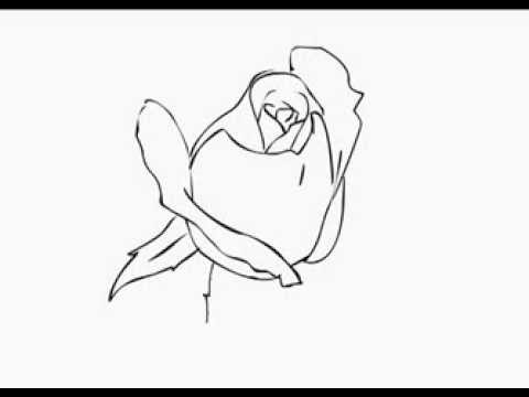 480x360 how to draw a simple rose bud yzarts yzarts - Bud Drawing