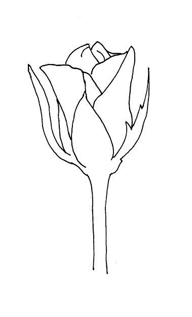 379x624 to create your own rose bud drawing begin - Bud Drawing