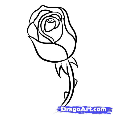 479x487 draw a rose bud, step - Bud Drawing