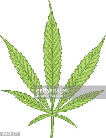 363x472 cannabis leaf drawing premium clipart - Bud Leaf Drawing