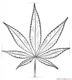 235x259 How To Draw A Cigarette Random Things In Drawings - Bud Leaf Drawing
