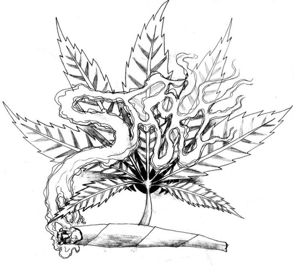 1024x925 Huge Collection Of 'pot Leaf Drawing' Download More Than - Bud Leaf Drawing