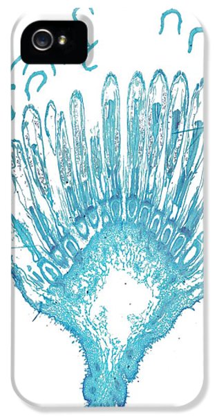 314x600 bud light iphone cases fine art america - Bud Light Drawing