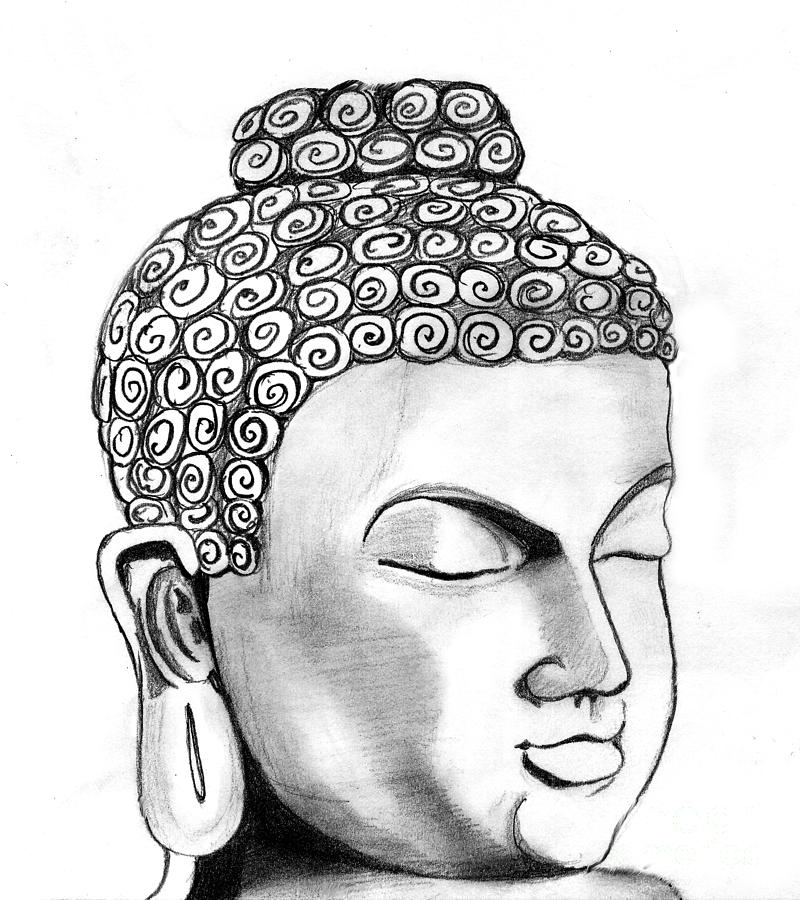 800x900 Buddha Drawing - Buddha Drawing Images