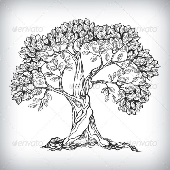 590x590 Honeycomb Drawing Tree Drawing For Free Download - Buddha Tree Drawing