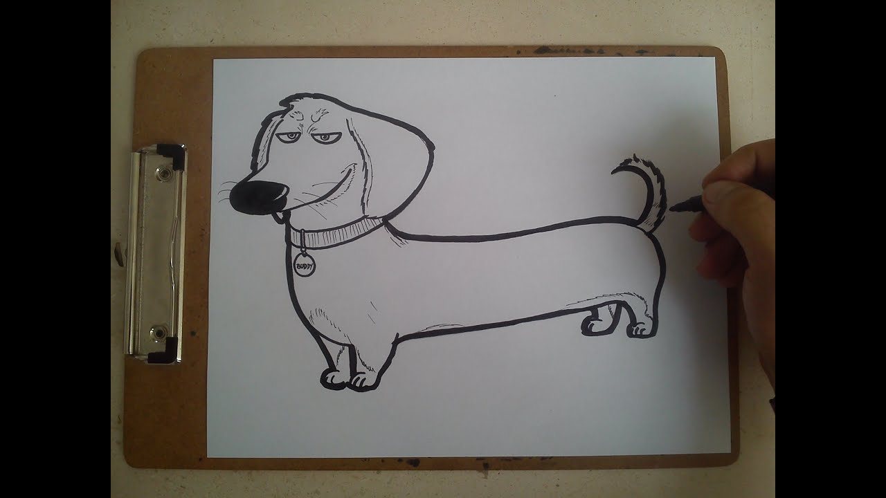1280x720 como dibujar a buddy de the secret life of pets how to draw - Buddy Drawing