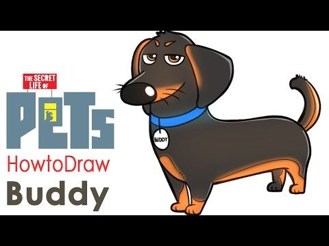 480x360 how to draw buddy from the secret life of pets step - Buddy Drawing